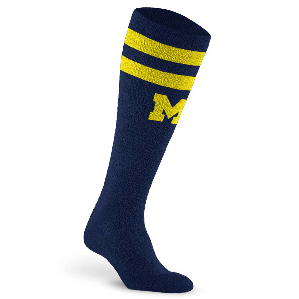 PC113Michigan-CozyFeatherCompressionVarsityStripe.jpg